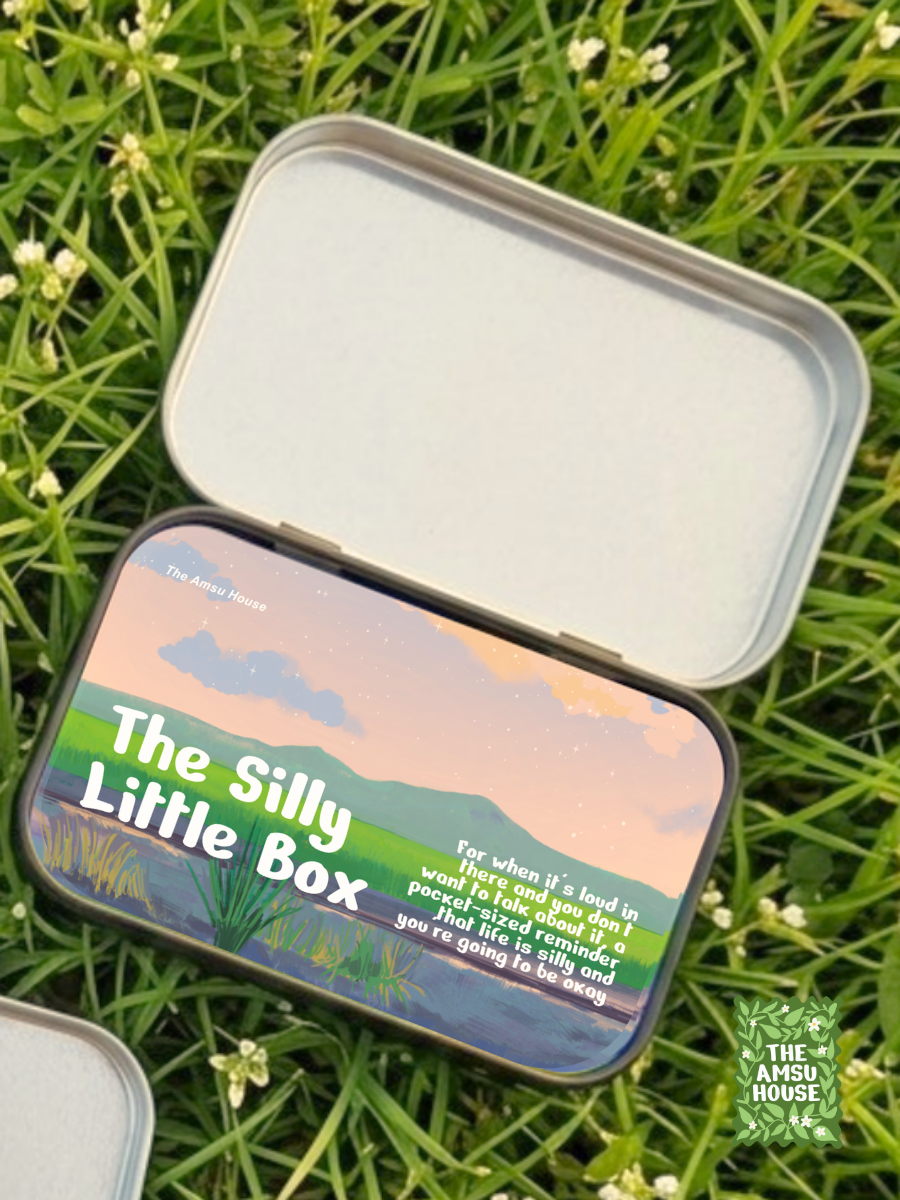 The Silly Little Box