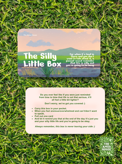 The Silly Little Box