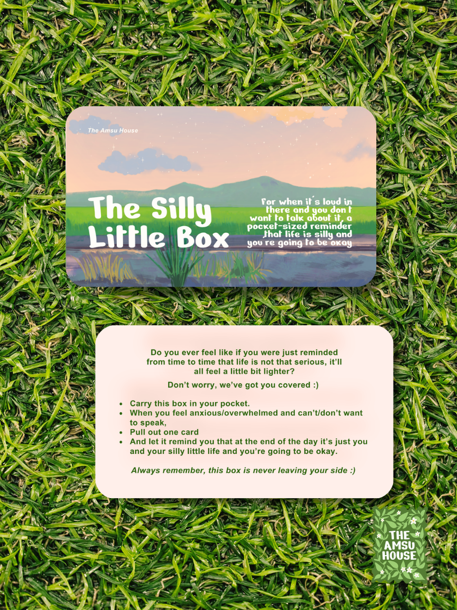 Little Box Bundle